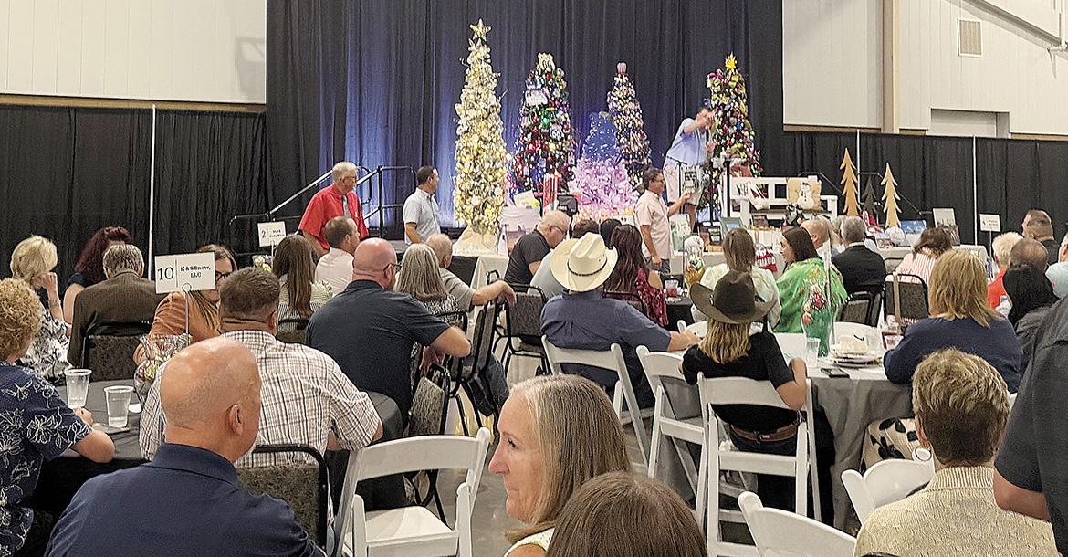 Support shines for festival benefiting Blessing Baskets_slideshow