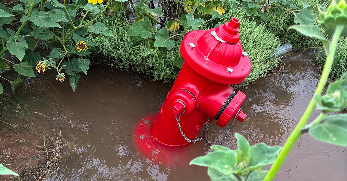A private fire hydrant sits surrounded by standing water and heavy vegetation_slideshow