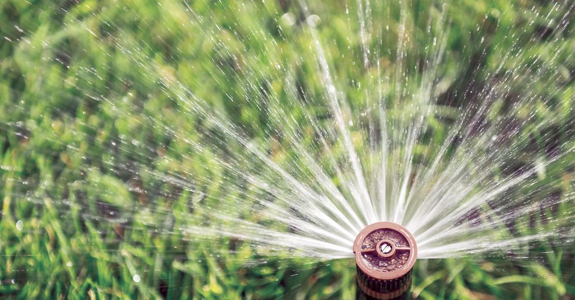 watering