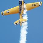 Come watch them fly_story