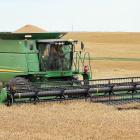 Nick Owen drives a harvester over a patch of wheat