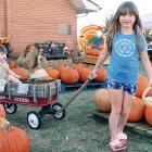 Aria Hensley pulls Bode Hensley through the rows of pumpkins