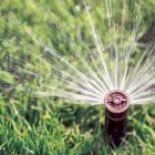 watering