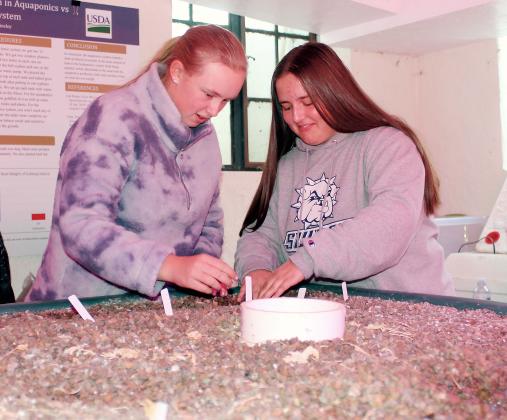 Madison Patswald (left) and Skyler Angers grow plants with nitrogenous fish waste