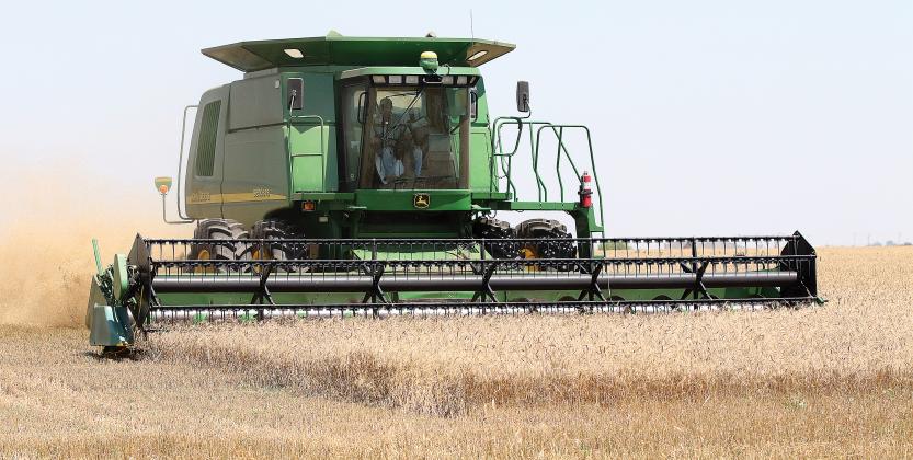 Clark Reuter harvests a field of wheat