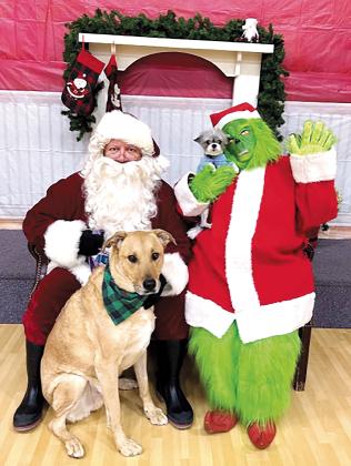 Some pets had their photos taken with Santa and the Grinch