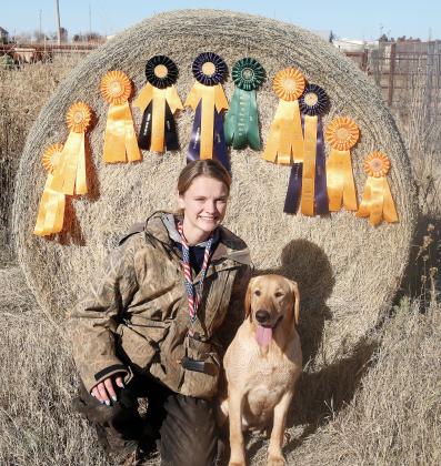 Julie Holdcraft poses with some of the ribbons won by her dog, Birdie 