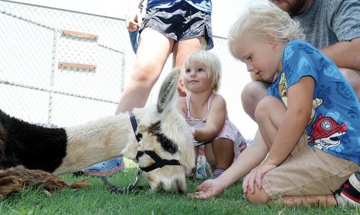 Jenavee and Soren Wilson feed an alpaca named Zoro