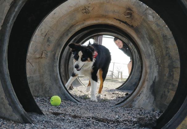 Jason Ratliff looks on as his dog Ruby runs through some of the buried tires