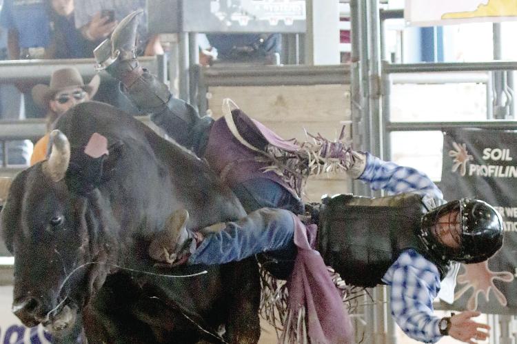 Dustin Ratchford gets thrown from a bull named Mossy Oak
