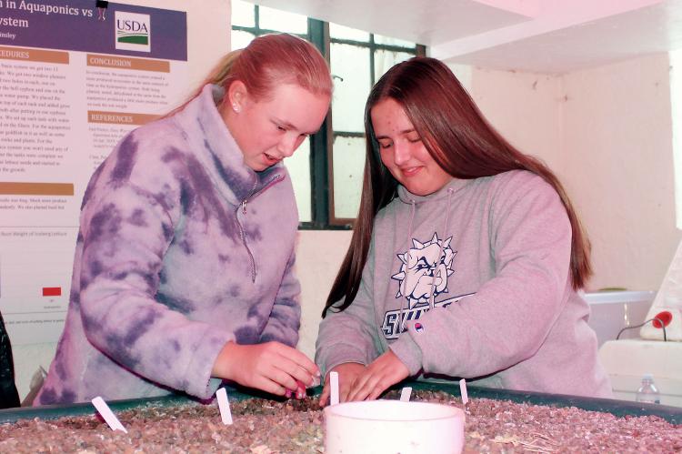 Madison Patswald (left) and Skyler Angers grow plants with nitrogenous fish waste