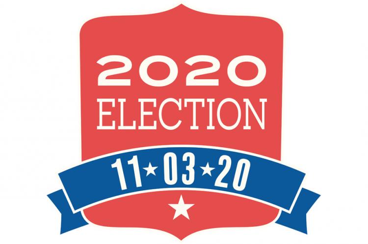 Election 2020 art