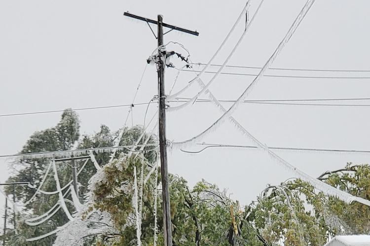 The ice storm in October brought down power lines and snapped tree limbs