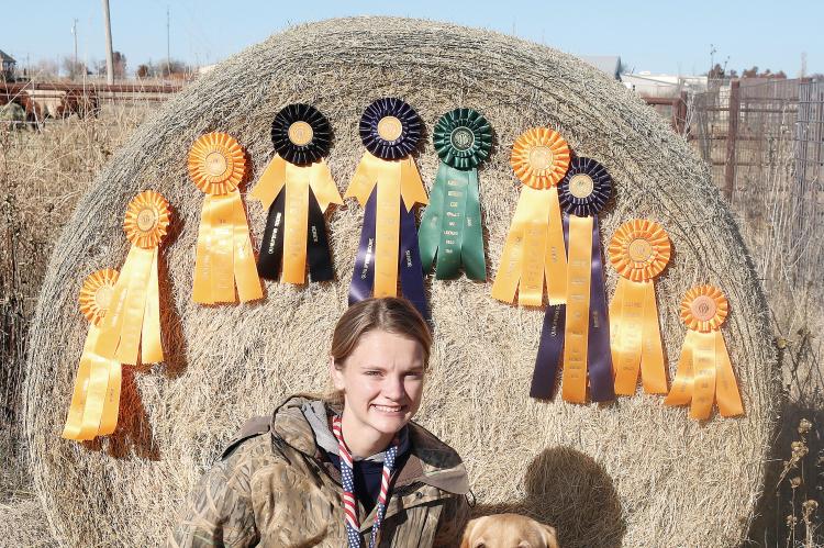 Julie Holdcraft poses with some of the ribbons won by her dog, Birdie 