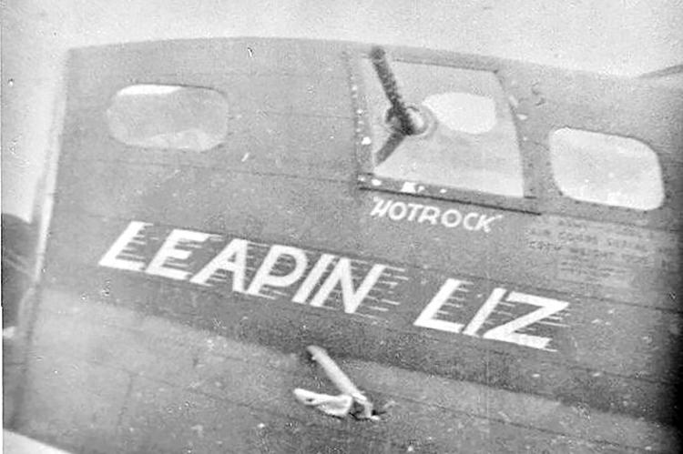 Leapin Liz_nose