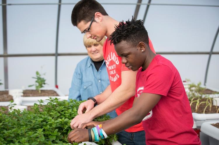 Dr. Julie Flegal-Smallwood works with students in the aquaponics lab