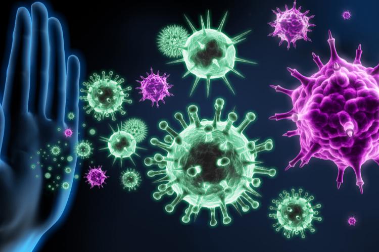Immune system illustration